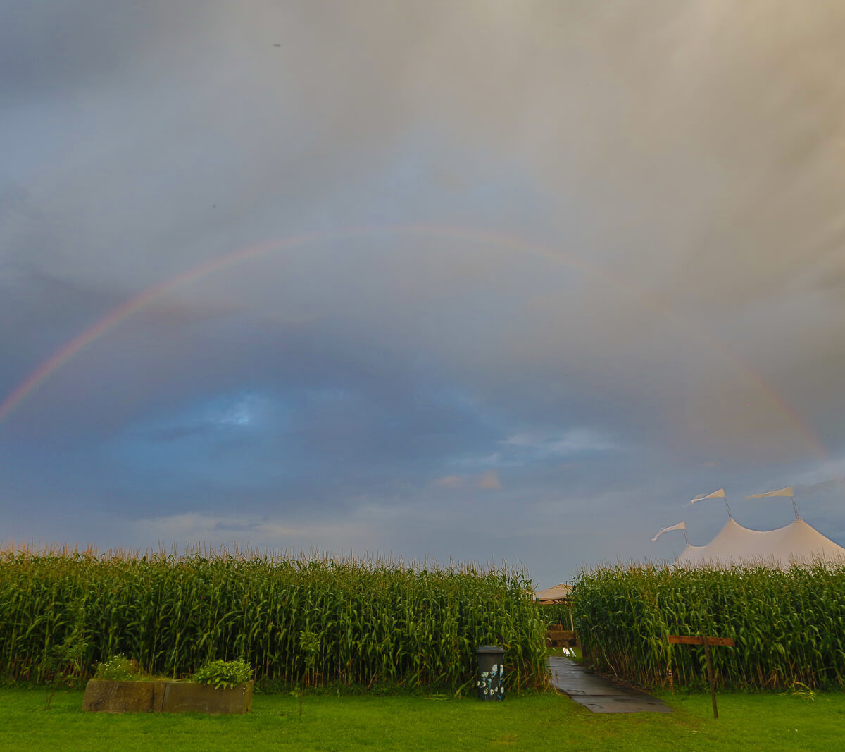 BLK-MJ-Verkleind-113