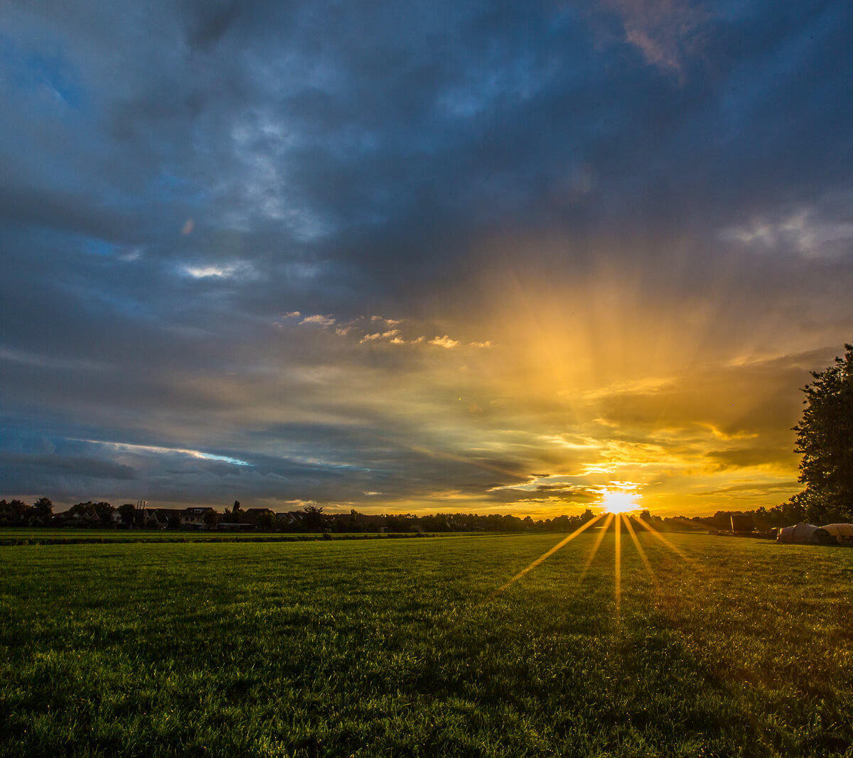 BLK-MJ-Verkleind-114